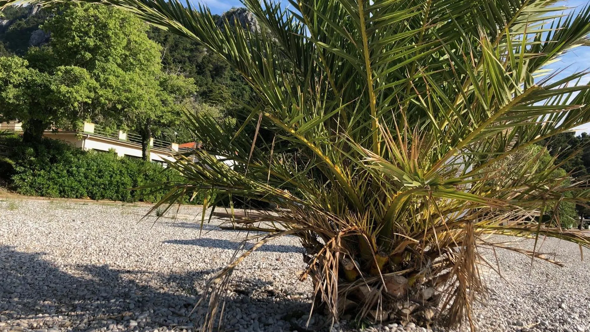 Villa Sabine Apartment Losinj Medveja Croatia
